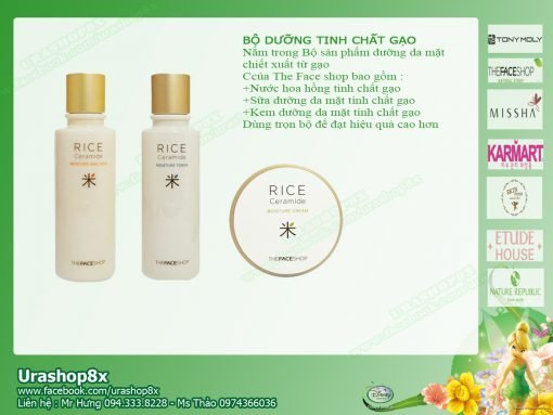 Bộ dưỡng da tinh chất gạo the face shop