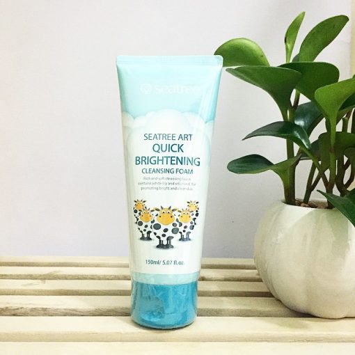 Sữa rửa mặt SEATREE ART quick brightening cleansing foam
