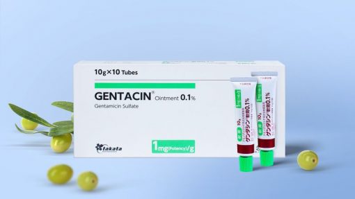 Kem trị sẹo Gentacin ointment 0.1% ( 10gr )
