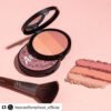Phấn Má Hồng Too Cool For School Artclass By Rodin Fard à Joues Blusher (9.5g)
